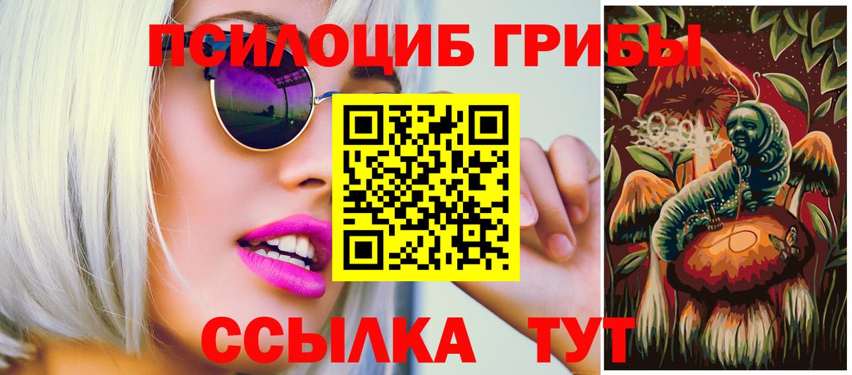 Галлюциногенные грибы Psilocybine cubensis Кольчугино